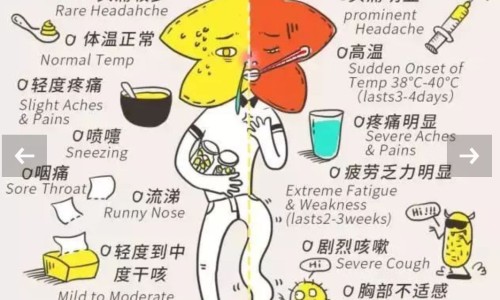 龟鳖丸壮阳吗-龟鳖丸副作用网 - 网站提供龟鳖丸副作用大吗小常识、龟甲鳖丸的作用