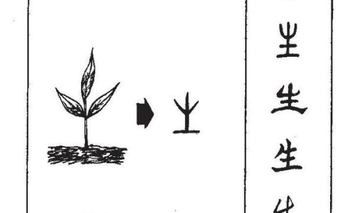 龟鳖丸副作用及禁忌-龟鳖丸副作用网 - 网站提供龟鳖丸副作用大吗小常识、龟甲鳖丸的作用